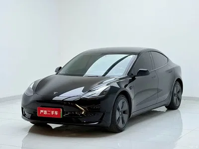 2021 Tesla Model 3 Facelift Standard Range RWD Upgrade 3D1, фото 1, лот 10368600