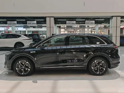 2025 Shangjie SUV Extended Range Edition, фото 4, лот 11646323