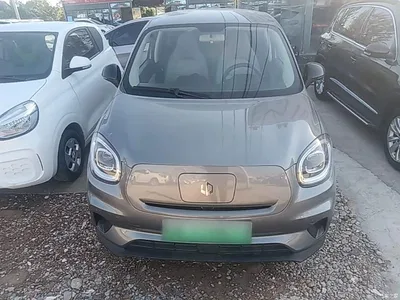 2022 Leapmotor T03 Crystal Shine Edition, фото 3, лот 11580462