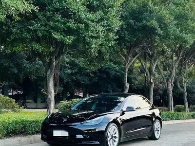 2022 Tesla Model 3 Model Rear-Wheel Drive Version, фото 2, лот 10351981