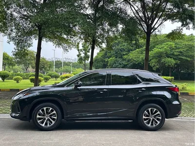 2020 Lexus RX Facelift 300 2WD Elite Edition, фото 4, лот 10317085