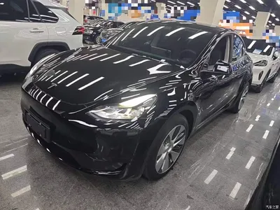 2022 Tesla Model Y Rear-Wheel Drive Version, фото 2, лот 11219617