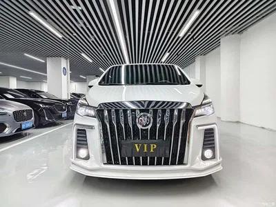 2021 Buick GL8 Land Business Class 652T Luxury, фото 2, лот 10252787