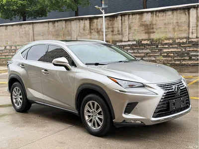2020 Lexus NX 200 AWD F Sport China VI, фото 3, лот 10312802