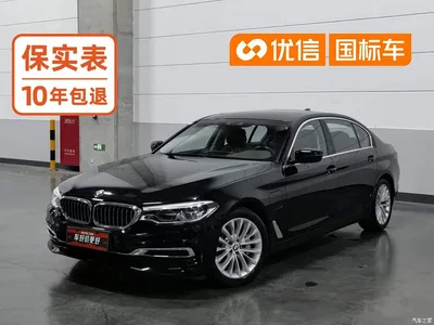 2020 BMW 5 Series New Energy 530Le Range Upgrade Luxury Package, фото 1, лот 10694072
