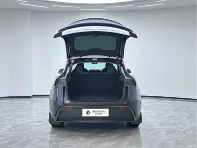 2025 Tesla Model Y Rear-Wheel Drive, фото 2, лот 10435049