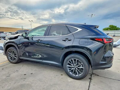 2025 LEXUS NX 350H LUXURY, фото 2, лот 10900162