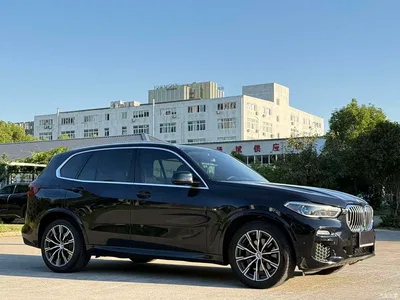2020 BMW X5 (Import) xDrive40i M Sport Package, фото 3, лот 11549870