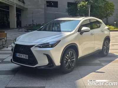 2025 Lexus NX 350h Premium, фото 1, лот 10120452