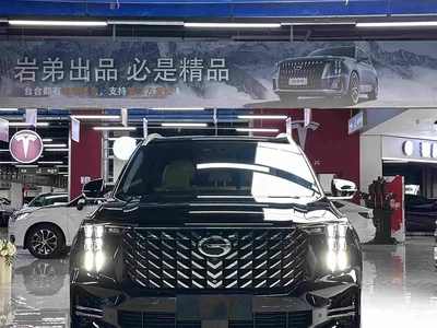 2025 GAC Trumpchi Trumpchi GS8 Pilot Series 2.0TGDI 2WD Luxury Edition 5-seater, фото 3, лот 10418593
