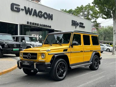 2015 Mercedes-Benz G-Class AMG AMG G 63 Off-Road Limited Edition, фото 1, лот 10299662