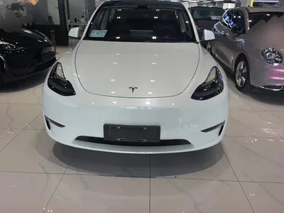 2021 Tesla Model Y Standard Range Rear-Wheel Drive, фото 2, лот 10404261