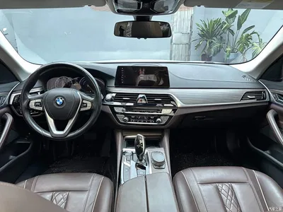 2019 BMW 5 Series New Energy Facelift 530Le Luxury Package, фото 4, лот 10474175