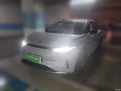 2021 Leapmotor C11 Facelift Luxury Edition, фото 1, лот 10693606
