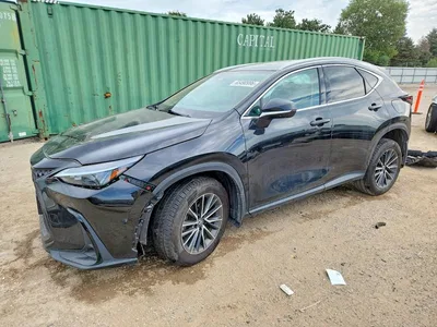 2023 LEXUS NX 350H, фото 1, лот 10846025