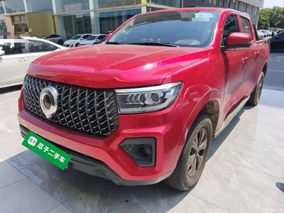 2023 Great Wall Pao 2.0T Commercial Manual Diesel 4WD Elite Long Box GW4D20M, фото 1, лот 10246300