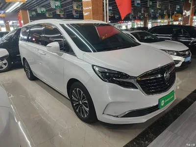 2022 Buick GL8 ES Landmark 653T Luxury, фото 4, лот 11067153