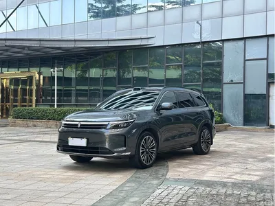 2024 AITO Wenjie AITO M7 1.5T Smart Drive 4WD Ultra 5-seater, фото 1, лот 10277445