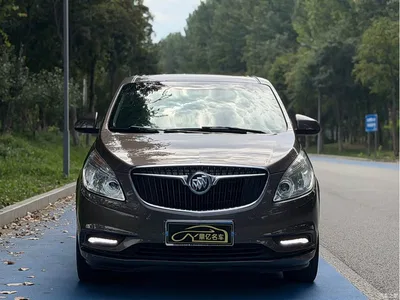 2017 Buick GL8 25S Luxury China V, фото 2, лот 10248694