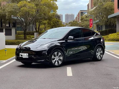 2021 Tesla Model Y Model Long Range AWD, фото 1, лот 10376806