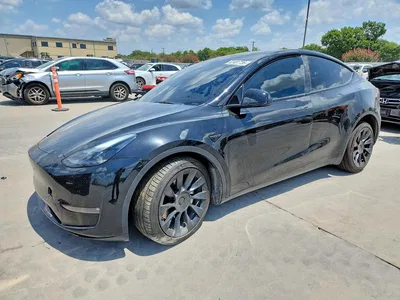 2023 TESLA MODEL Y, фото 1, лот 10852478