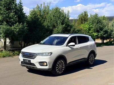 2017 Haval H6 Blue Label 2.0T Automatic 2WD Smart Edition, фото 3, лот 10442122