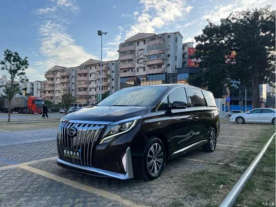 2018 GAC Trumpchi Trumpchi M8 320T Premium Edition, фото 3, лот 10417345
