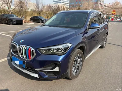 2020 BMW X1 sDrive20Li Premium Edition, фото 1, лот 10466995