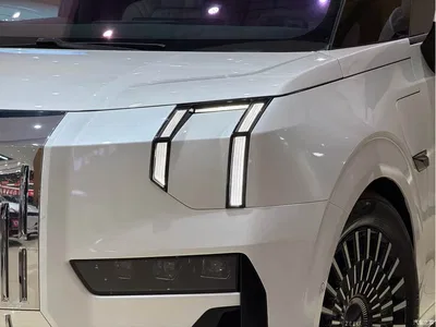 2022 ZEEKR 009 WE Edition, фото 3, лот 11099326