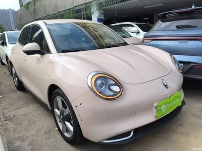 2023 Ora Good Cat 401km Standard Range Honor Edition (LFP), фото 4, лот 10387393