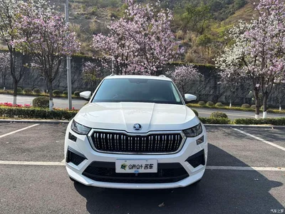 2025 Škoda Kodiaq TSI330 5-Seater FWD Capability Edition, фото 2, лот 10348319