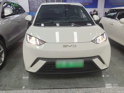 2024 BYD Seagull Glory Edition 305km Vitality Edition, фото 3, лот 10262819