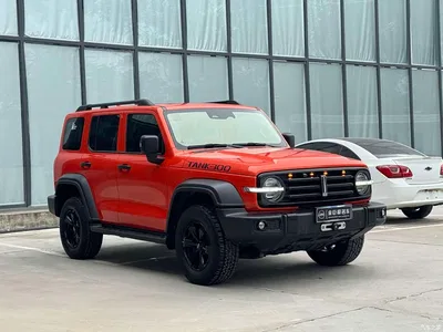 2021 Tank 300 Off-road Version 2.0T Conqueror, фото 3, лот 10887779