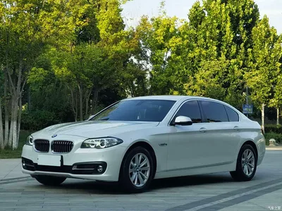2014 BMW 5 Series 520Li Elegance, фото 1, лот 10689474