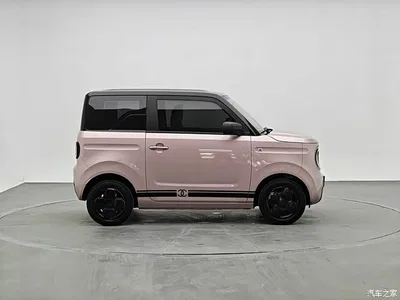 2024 Geely Galaxy Panda mini 200km Endurance Bear, фото 3, лот 10428513