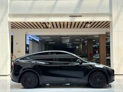 2024 Tesla Model Y Rear-Wheel Drive Version, фото 4, лот 10442857