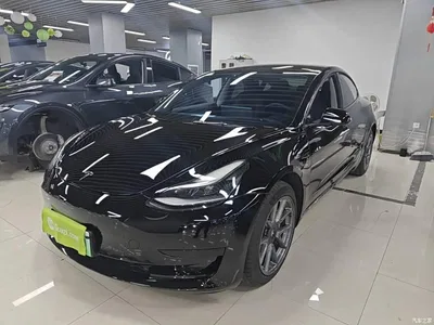 2021 Tesla Model 3 Standard Range Rear-Wheel Drive Upgrade 3D6, фото 2, лот 10369482