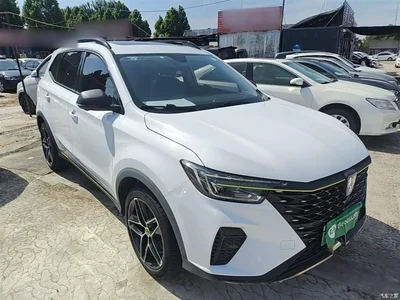 2021 Roewe RX5 New Energy Model ePLUS National Trend Ronglin Luxury Edition, фото 4, лот 10341790