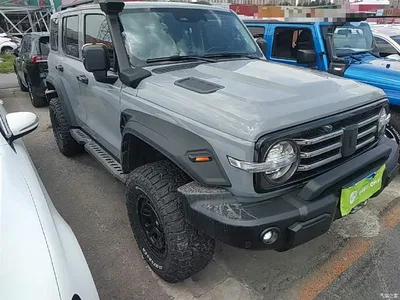 2021 Tank 300 2.0T Tank Ranger, фото 4, лот 10345561