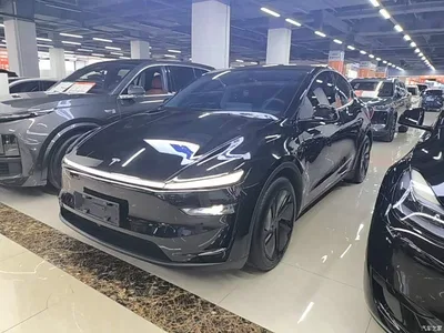 2025 Tesla Model Y Rear-Wheel Drive, фото 1, лот 10440232