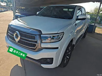 2024 Great Wall Pao Model 2.4T Passenger Version Automatic Diesel 2WD Comfort, фото 2, лот 10246315