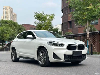 2022 BMW X2 sDrive25i M Sport Package, фото 3, лот 11139394