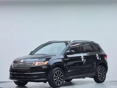 2022 Škoda Karoq TSI280 Premium Edition, фото 2, лот 10348517