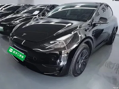 2023 Tesla Model Y Rear-Wheel Drive Edition, фото 2, лот 11518921