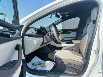 2023 BYD Qin PLUS Champion Edition DM-i 55KM Leading, фото 2, лот 10363107
