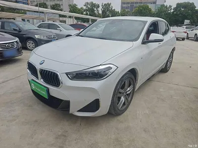 2021 BMW X2 sDrive25i M Sport Package, фото 2, лот 10475477