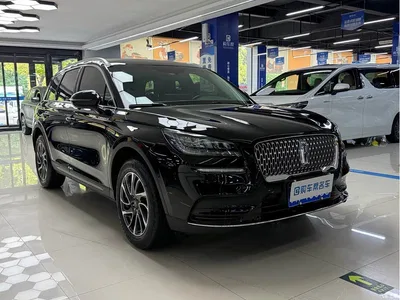 2022 Lincoln Adventurer Facelift 2.0T 2WD Zunxiang Edition, фото 3, лот 10357695
