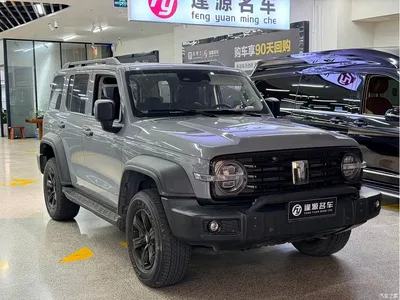 2021 Tank 300 Off-road Version 2.0T Conqueror, фото 3, лот 10345204