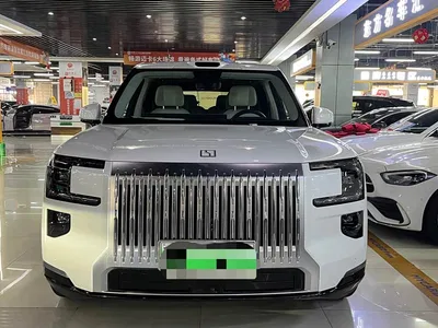 2025 ZEEKR 9X Model Standard, фото 1, лот 11225280