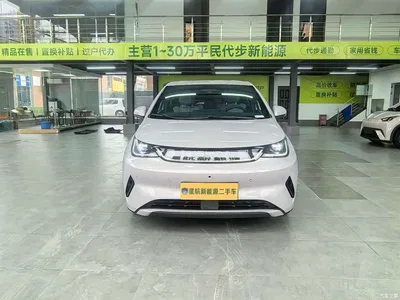 2025 BYD Dolphin Smart Drive Edition 420km Freedom Version, фото 3, лот 10764262